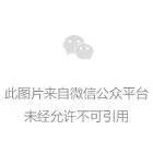 初中篮球队训练视频大全集
